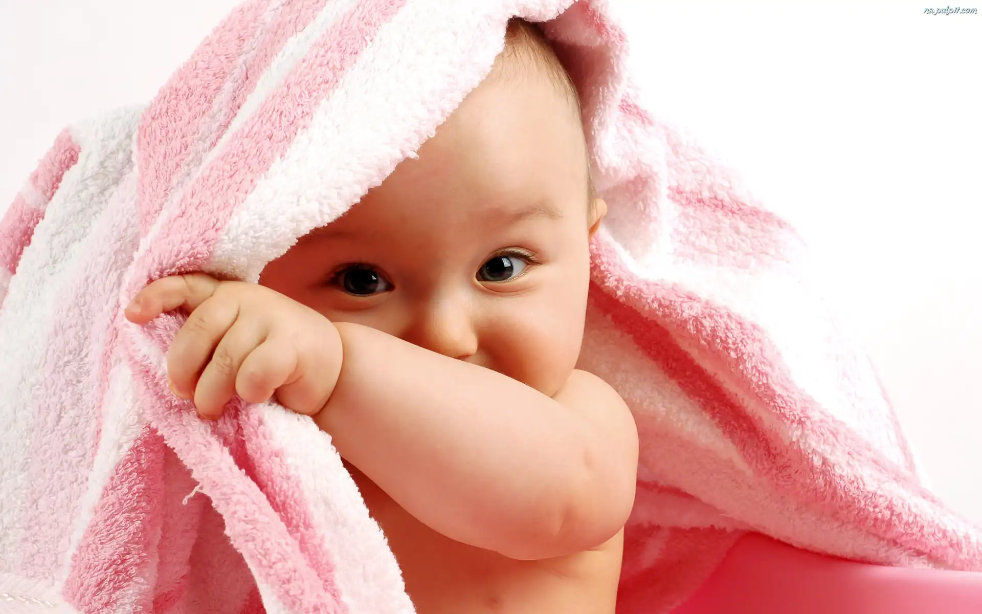Imagenes Bobas